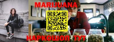 крисы Михайловск