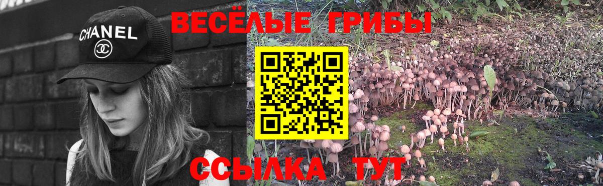 Галлюциногенные грибы Cubensis Бугуруслан