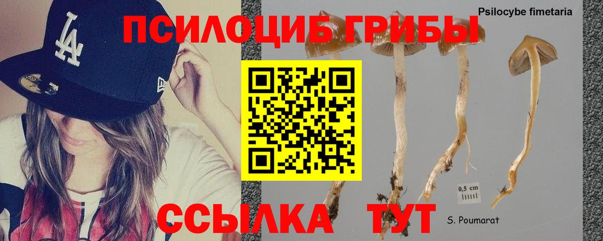 Галлюциногенные грибы мицелий  Вход с VPN  Псилоцибиновые грибы прущие грибы  Бугуруслан 